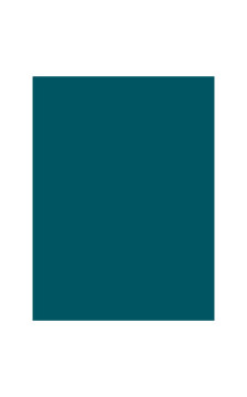 Gatta õmblusteta aluspüksid