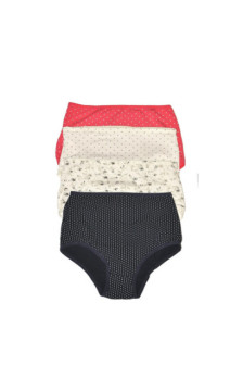 De Lafense apakšbiksītes