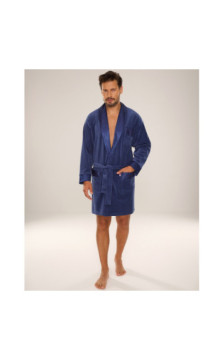 De Lafense peldmētelis