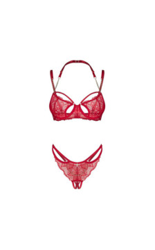 Obsessive seksīgs komplekts