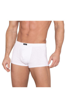 Lama apakšbiksītes