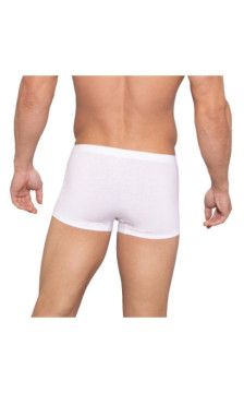 Lama apakšbiksītes