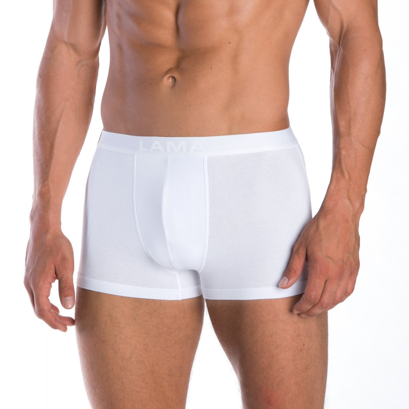 Lama apakšbiksītes