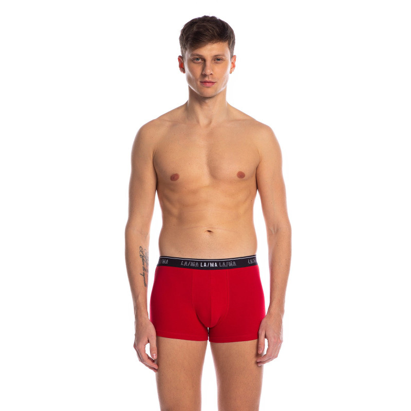 Lama apakšbiksītes