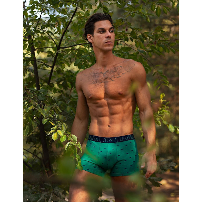 Lama apakšbiksītes