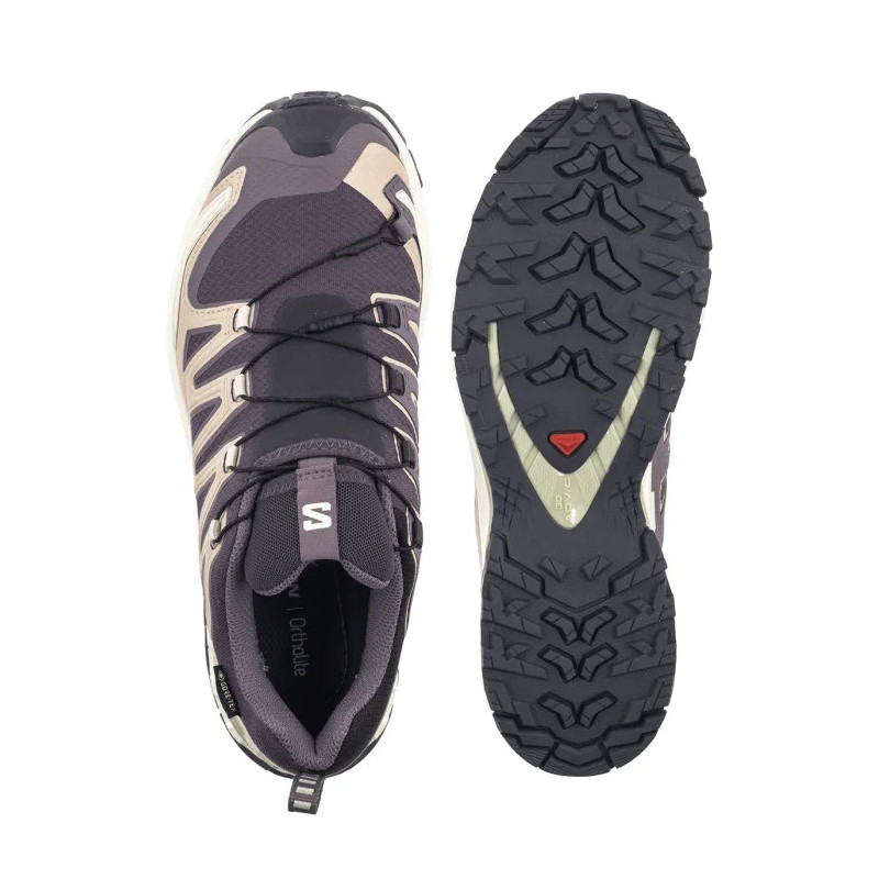Salomon XA Pro 3D V9 Gtx W Nine Iron/Oxford Tan/Alfalfa 477447 (SO38-a) batai