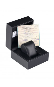 Zeppelin 8062-5 laikrodis