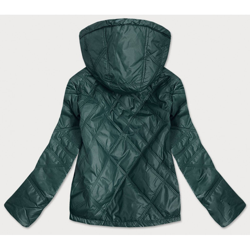 Goodlookin (BH2004) striukė