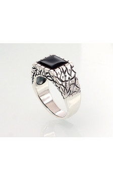 Hõbesõrmus 2101366(POx-Bk)_ON, Hõbe 925°, oksüüd (kate), Ooniks