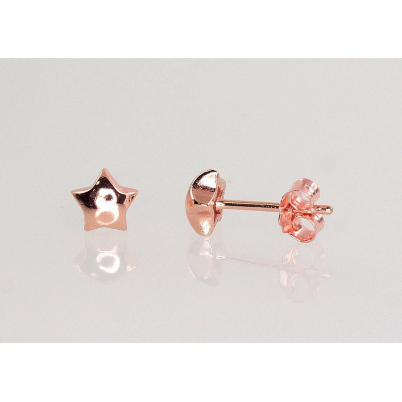 Hõbedast naelkõrvarõngad 2202962(PAu-R), Hõbe 925°, punane kuld (kate)